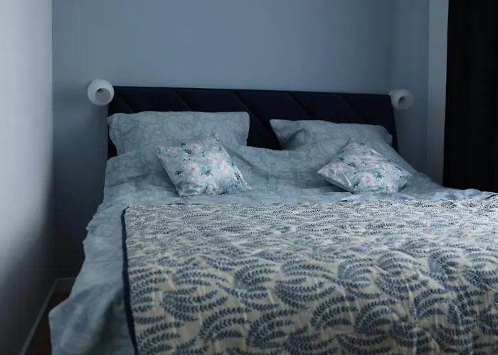 Niebieski W Wilenska Park I Prywatne Miejsce W Garazu Podziemnym Apartment *